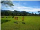 Tully QLD 4854