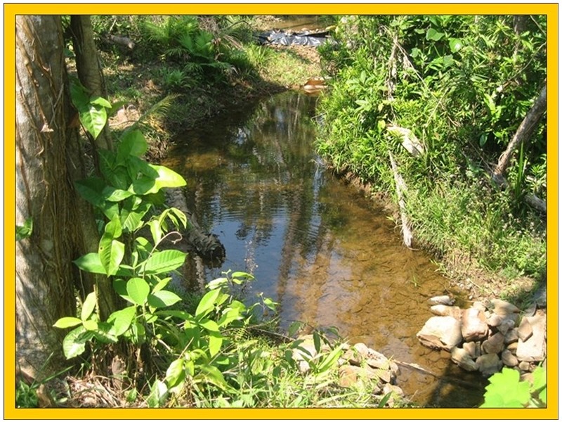 Mission Beach QLD 4852