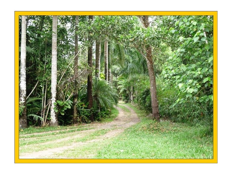 East Feluga QLD 4854