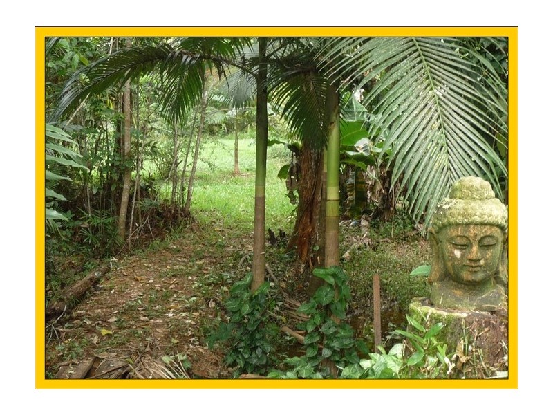 East Feluga QLD 4854