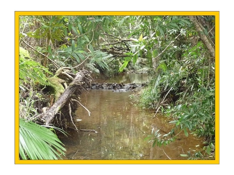 East Feluga QLD 4854