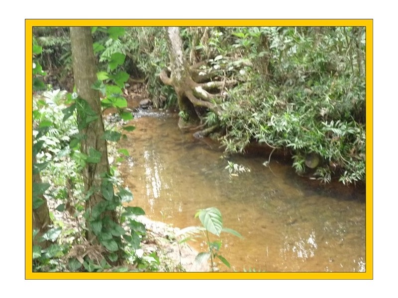 East Feluga QLD 4854