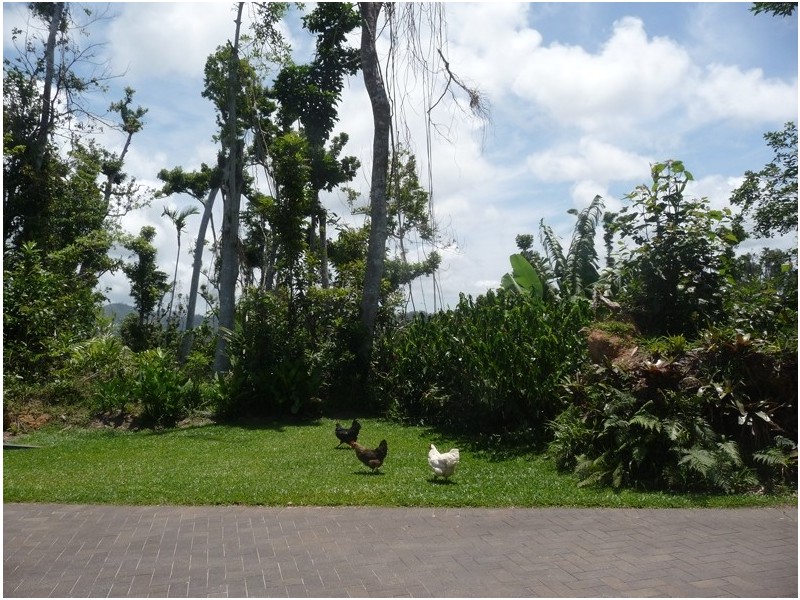 32 Mission Circle, Wongaling Beach QLD 4852