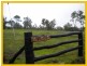 Lots 175-178 Lindeman Drive Carlisle Coast, Bloomsbury QLD 4799
