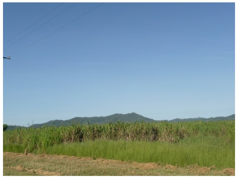 Lot 88 Midgenoo Feluga Road, Tully QLD 4854