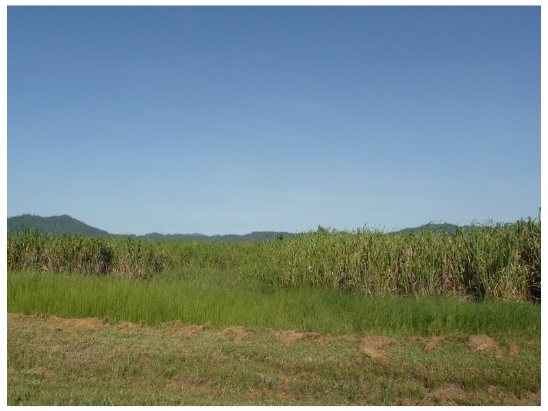 Lot 88 Midgenoo Feluga Road, Tully QLD 4854