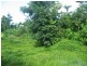 2052 Tully Mission Beach Road, Wongaling Beach QLD 4852