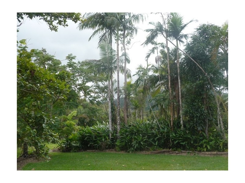 East Feluga QLD 4854