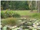 East Feluga QLD 4854