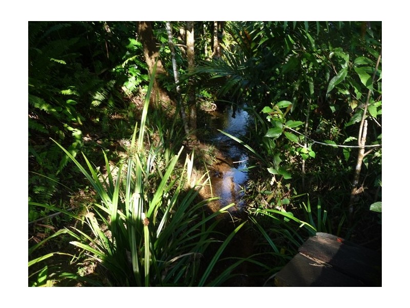 515 East Feluga Road, East Feluga QLD 4854