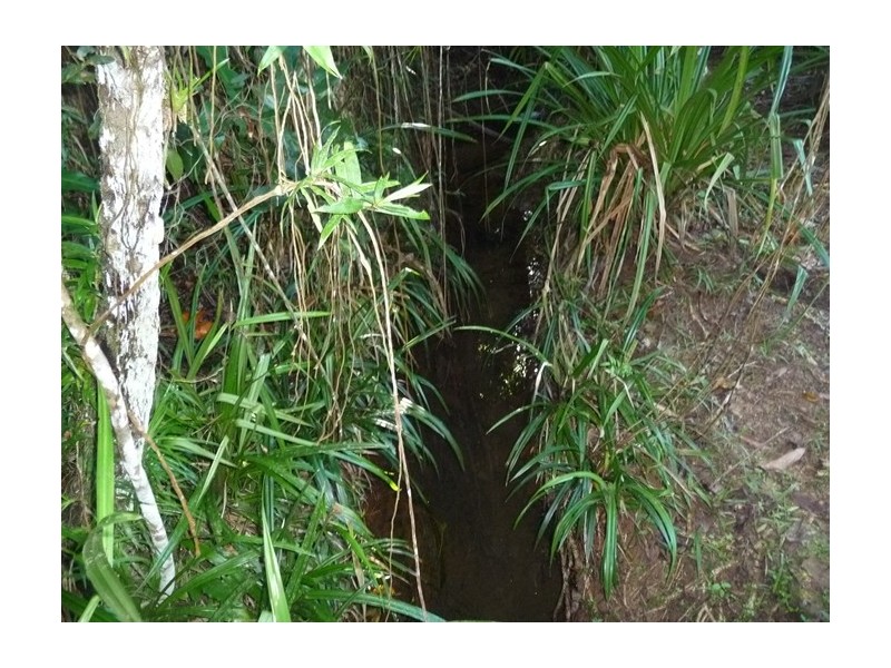 515 East Feluga Road, East Feluga QLD 4854