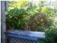 515 East Feluga, East Feluga QLD 4854