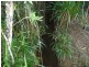 515 East Feluga, East Feluga QLD 4854