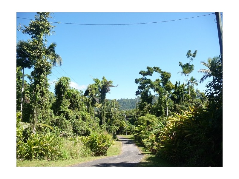Lot 5 Bingil Bay Road, Bingil Bay QLD 4852