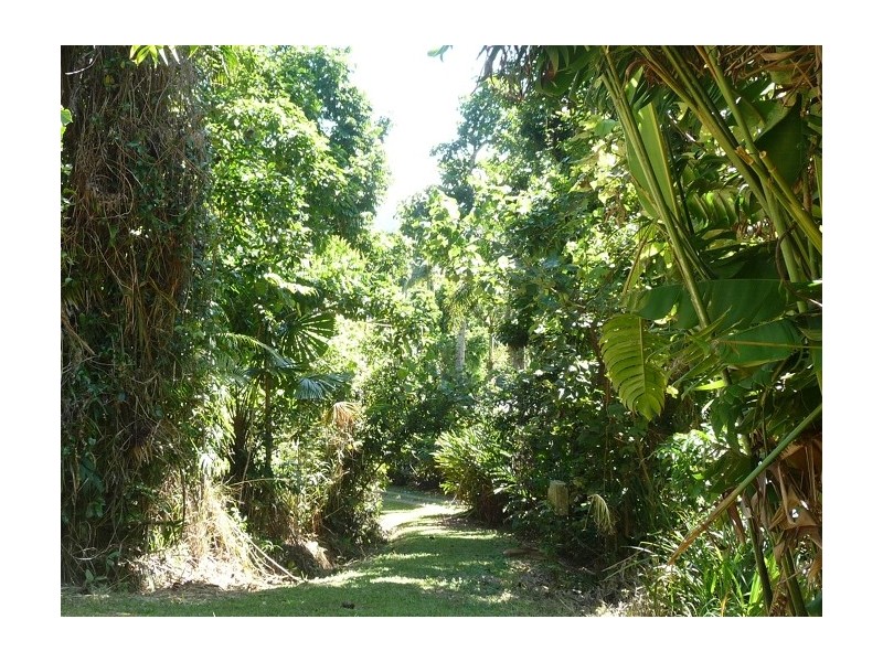Lot 5 Bingil Bay Road, Bingil Bay QLD 4852