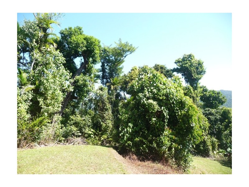 Lot 5 Bingil Bay Road, Bingil Bay QLD 4852