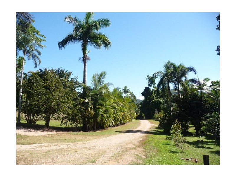 Lot 5 Bingil Bay Road, Bingil Bay QLD 4852