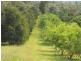 10 Fishers Creek Road, Coorumba QLD 4860