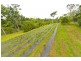 10 Fishers Creek Road, Coorumba QLD 4860