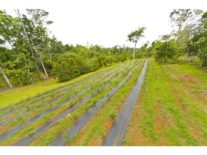 10 Fishers Creek Road, Coorumba QLD 4860