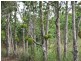 10 Fishers Creek Road, Coorumba QLD 4860
