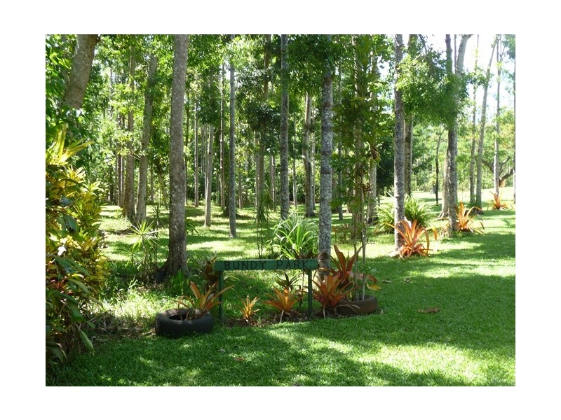 132 Boyett Road, Mission Beach QLD 4852