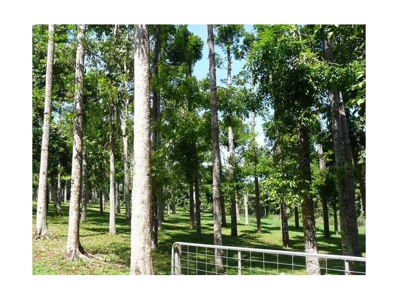 132 Boyett Road, Mission Beach QLD 4852