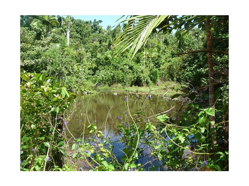 Lot 6 and 2 Explorers Drive, Mission Beach QLD 4852