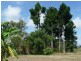 44 Dargin Road,, Maria Creeks QLD 4855