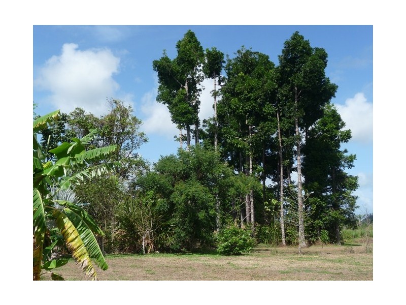 44 Dargin Road,, Maria Creeks QLD 4855