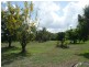 44 Dargin Road,, Maria Creeks QLD 4855