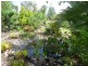 44 Dargin Road,, Maria Creeks QLD 4855