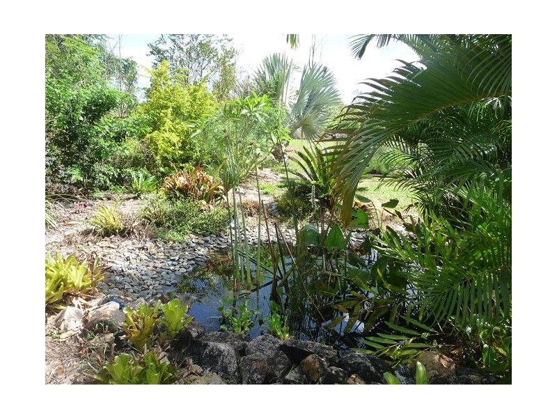 44 Dargin Road,, Maria Creeks QLD 4855