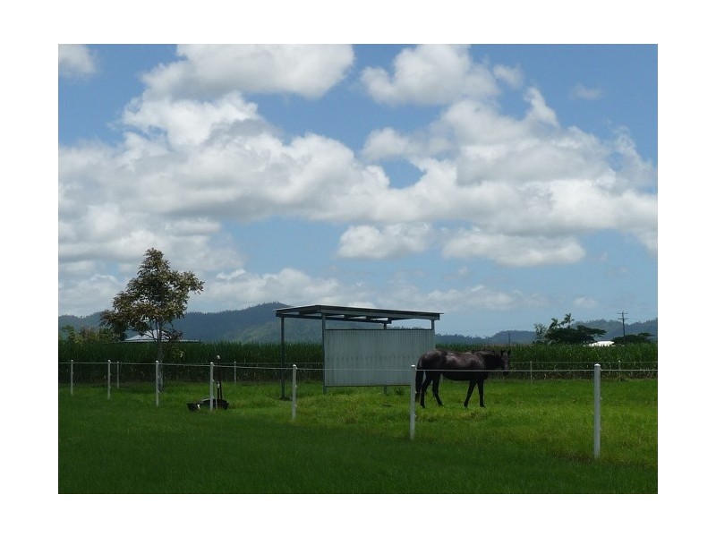 113 Old Tully Road, Tully QLD 4854
