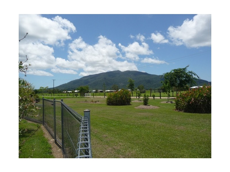 113 Old Tully Road, Tully QLD 4854