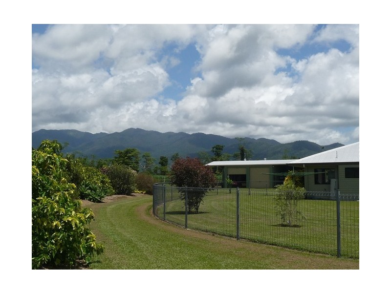 113 Old Tully Road, Tully QLD 4854