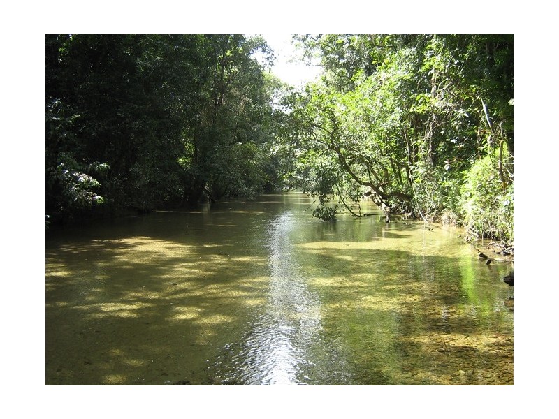 113 Old Tully Road, Tully QLD 4854