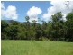 113 Old Tully Road, Tully QLD 4854