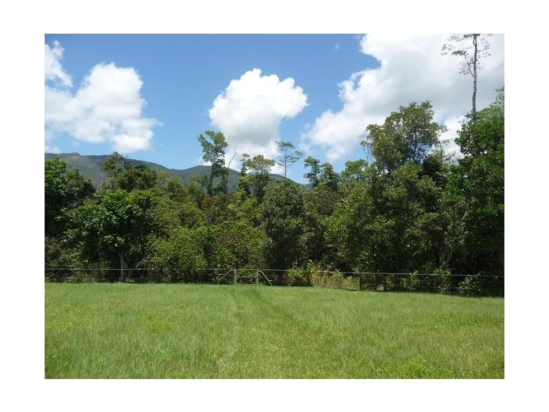 113 Old Tully Road, Tully QLD 4854
