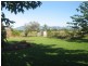 358 East Feluga Road, East Feluga QLD 4854