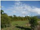 358 East Feluga Road, East Feluga QLD 4854