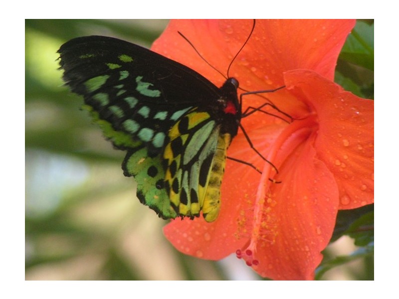 44 Seafarer Street, South Mission Beach QLD 4852