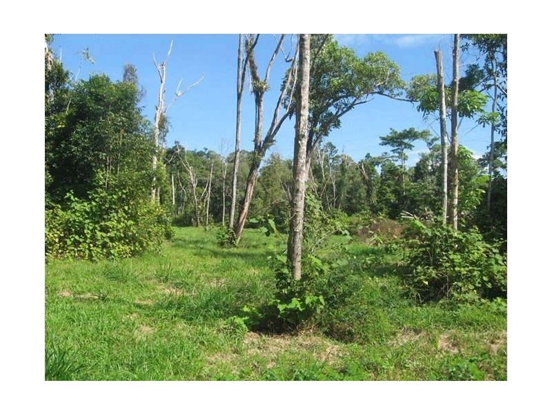 176 Tully-Mission Beach Road, Birkalla QLD 4854