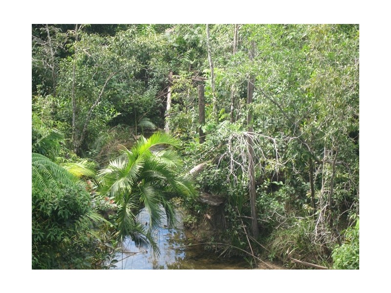 176 Tully-Mission Beach Road, Birkalla QLD 4854