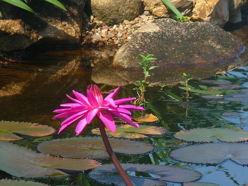 Lot 9, 61 Banfield Parade, Wongaling Beach QLD 4852