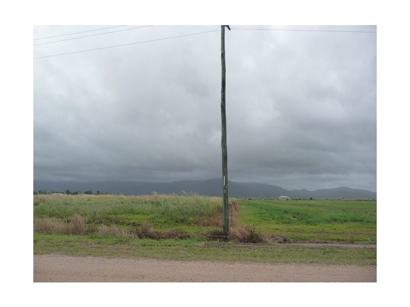 142 Old Tully Road, Tully QLD 4854