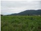 142 Old Tully Road, Tully QLD 4854