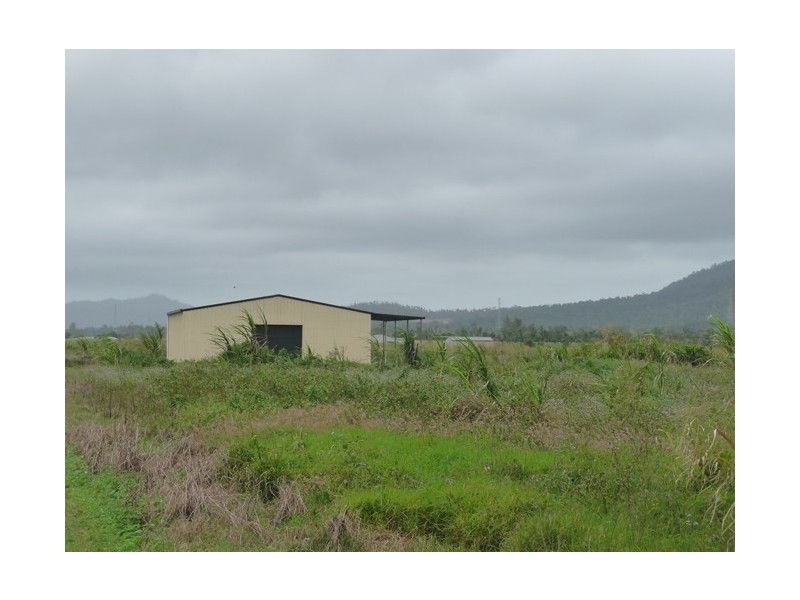 142 Old Tully Road, Tully QLD 4854