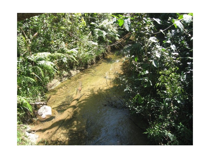 Lot 32 Tully Mission Beach Road, Birkalla QLD 4854