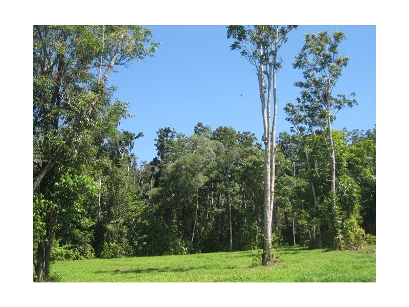 Lot 32 Tully Mission Beach Road, Birkalla QLD 4854